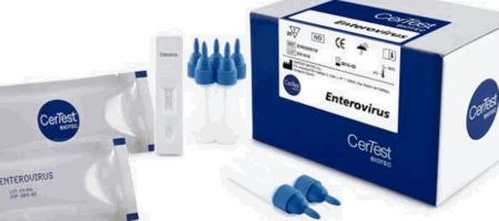 Rapid test (Virology) СЕРТЕСТ Энтеровирус + позитив контроль No20
